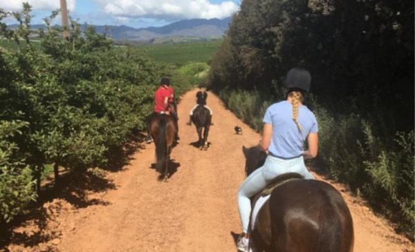 Horseback riding with patch of heaven equestrian centre