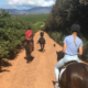 Horseback riding with patch of heaven equestrian centre