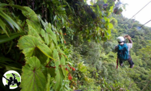 Zipline at Karkloof Canopy tour