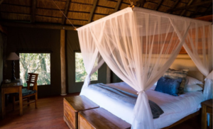 A1-night stay for 2 in Limpopo at Honeyguide tented safari camp