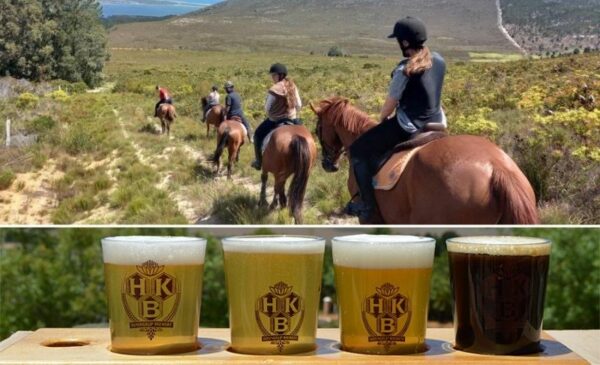 A horseback outride for 2 plus beer tasting botriver western cape