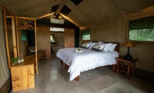 A 2 night stay for 2 people at Little Africa Safari Lodge