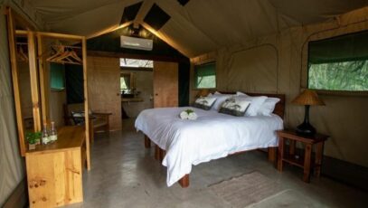 A 2 night stay for 2 people at Little Africa Safari Lodge