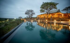 D&B tented experience mdluli safari lodge hazyview pretoria johannesburg accommodation limpopo