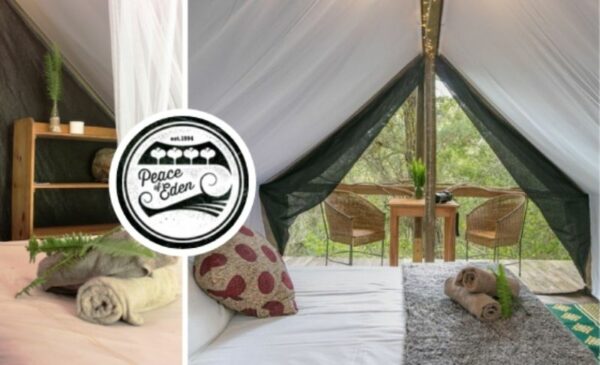 A magical tented stay at Peace of Eden