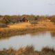 A romantic 2 night's stay for 2 in Dinokeng at Mangwa Valley Game Lodge