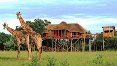 A 2-Night Game Lodge Getaway for 2 in Hoedspruit