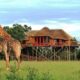 A 2-Night Game Lodge Getaway for 2 in Hoedspruit