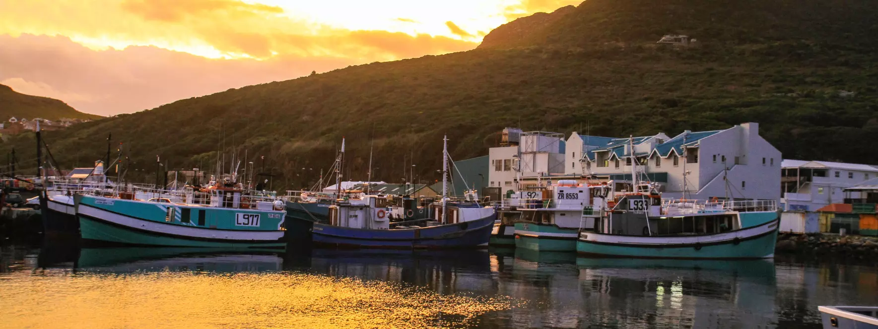 hout bay harbour Things to Do in Cape Town Under R200