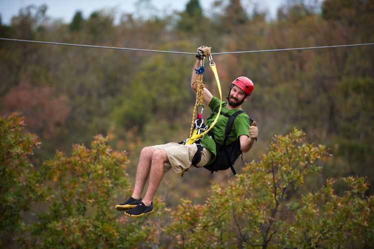 Things to do in Cape Town - Cape Canopy Tour