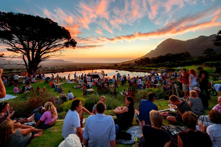 Things to do in Cape Town - Courtesy of Cape Point Vineyards