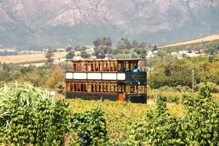 Things to do in Cape Town - Franschhoek Wine Tram