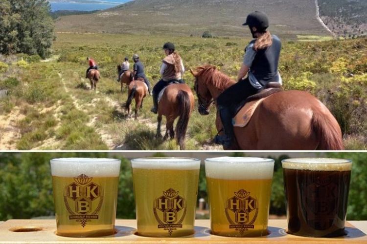 Things to do in Cape Town - Honingklip Horses