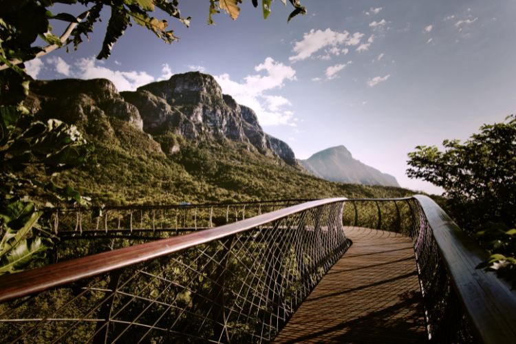 Things to do in Cape Town - Kirstenbosch