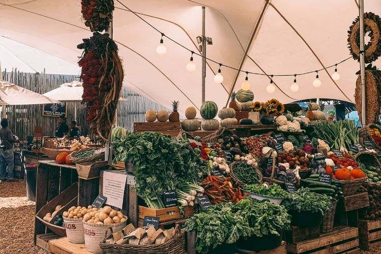 Things to do in Cape Town - Oranjezicht Organic Market
