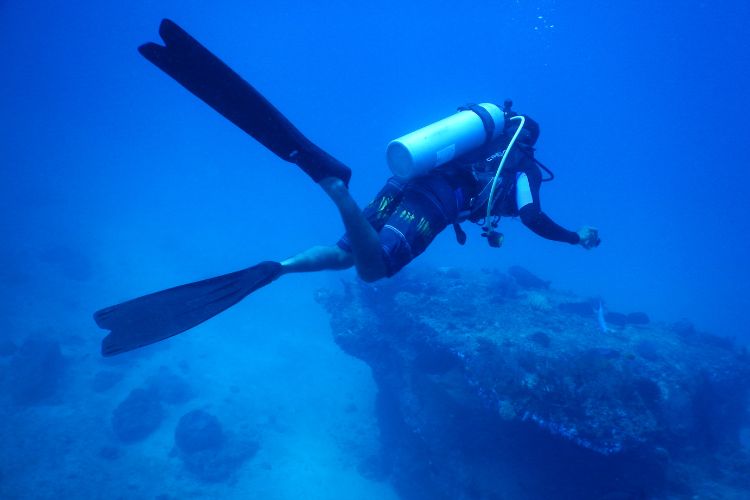 Things to do in Cape Town - Scuba Diving in Fish Hoek