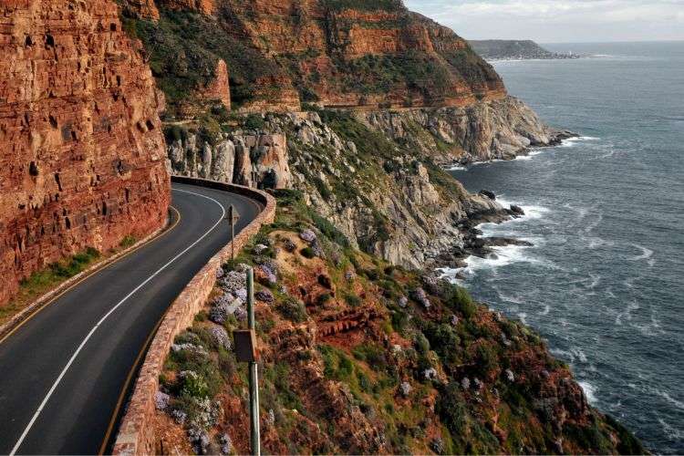 Things to do in Cape Town - Take a Drive Along Chapmans Peak