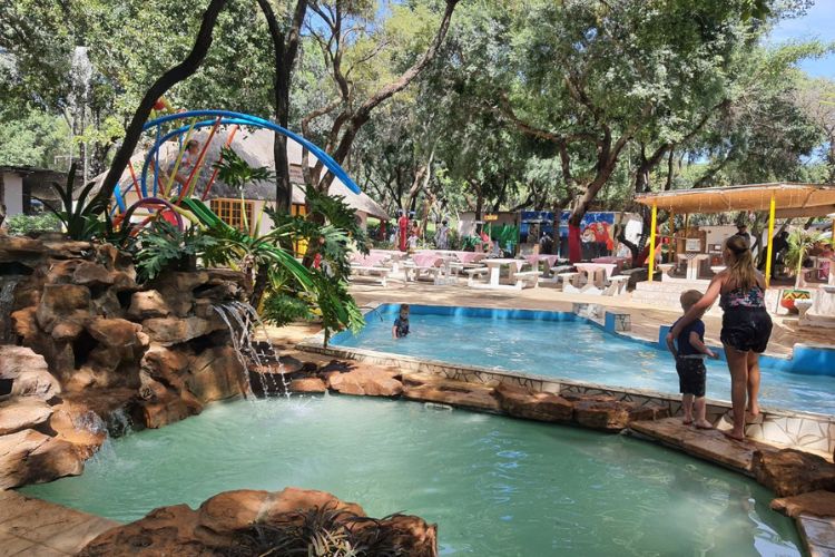 Things to do in Johannesburg - Chameleon Village