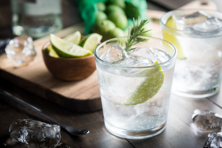 Things to do in Johannesburg - Gin Tasting