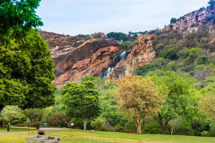 Things to do in Johannesburg - Walter Sisulu National Botanical Gardens