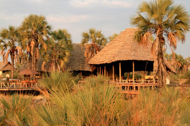 Things to do in Johannesburg - Wildside Lodge at Entabeni