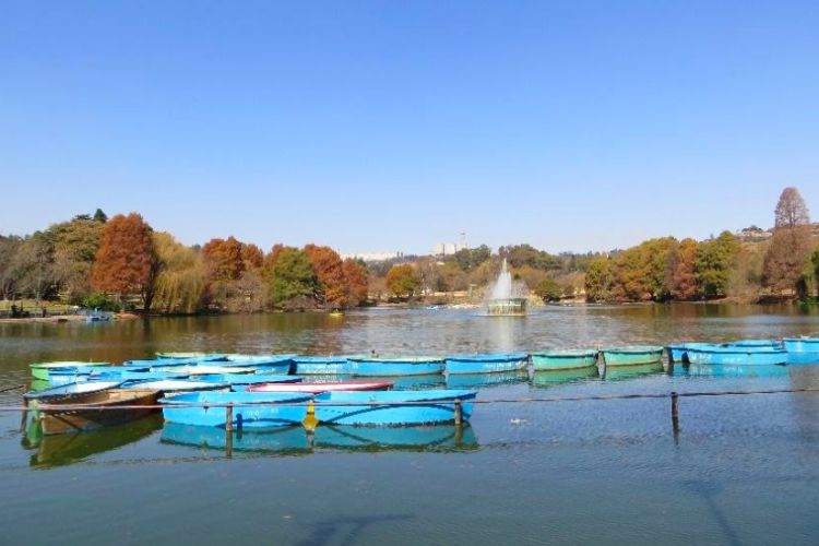 Things to do in Johannesburg With Kids - Zoo Lake