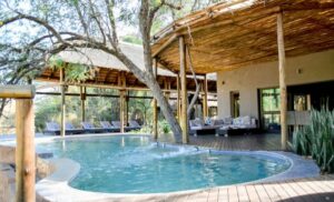 A Safari Stay at Moditlo Lodge