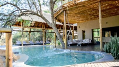 A Safari Stay at Moditlo Lodge