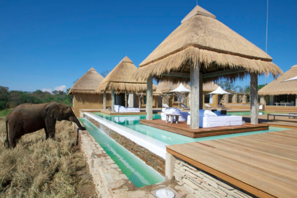 THE 15 BEST THINGS TO DO IN MPUMALANGA 2026 visual data 7