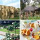 A 1-night stay for 2 in Magaliesburg