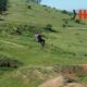 Ziplining for 2 in Durban