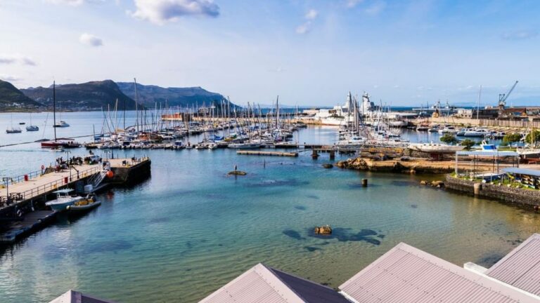 12 Things to do in Simon’s Town in 2022