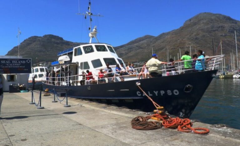 hout bay seal island boat cruise prices