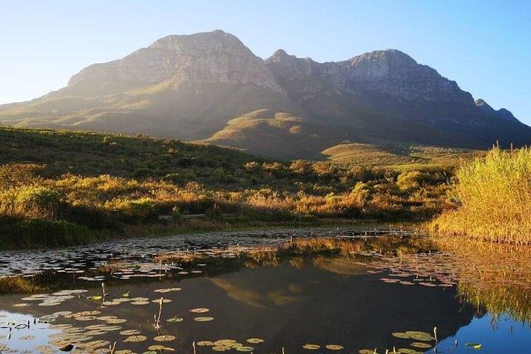 helderberg nature reserve things to do in cape town with kids