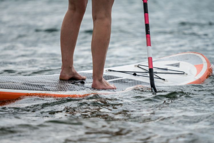 Paddleboard Cape Town