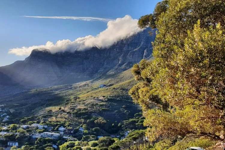 table mountain national park things to do in cape town with kids