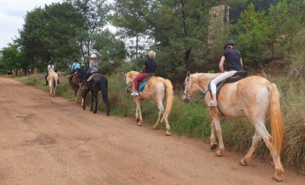 A Horse Riding Experience for 2 People