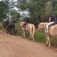 A Horse Riding Experience for 2 People