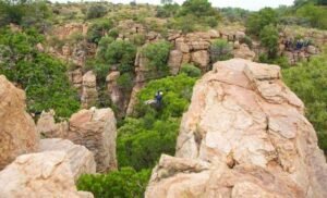 A Canopy Tour for 1 Person in Magaliesberg