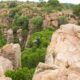 A Canopy Tour for 1 Person in Magaliesberg