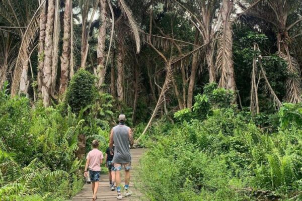 THE 15 BEST THINGS TO DO IN RICHARDS BAY 2026 visual data 7