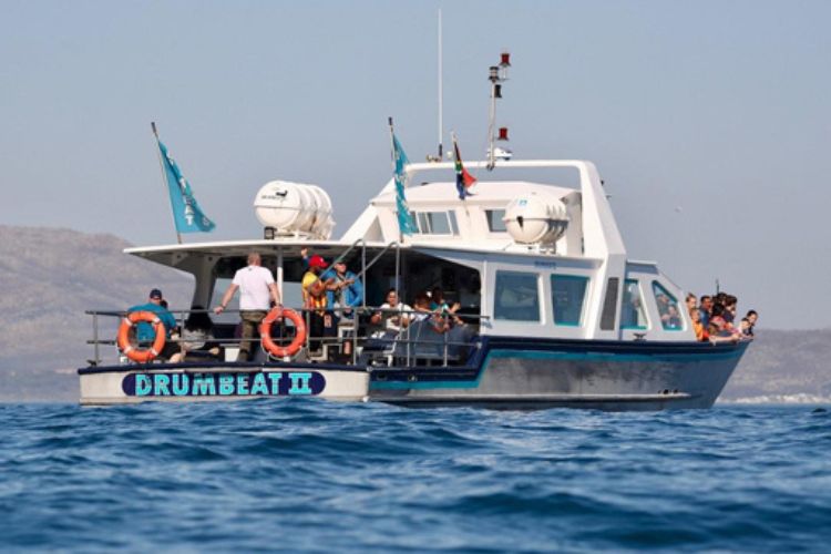 The 15 Best Things to do in Hout Bay Daddy's Deals