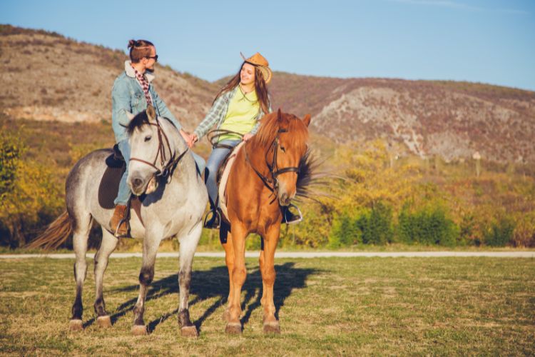 Hartbeesport on Horseback 