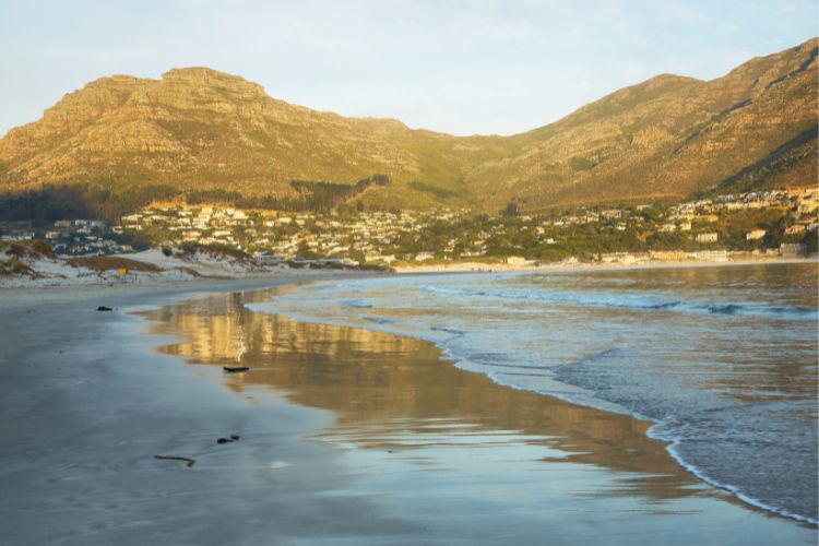 The 15 Best Things to do in Hout Bay Daddy's Deals