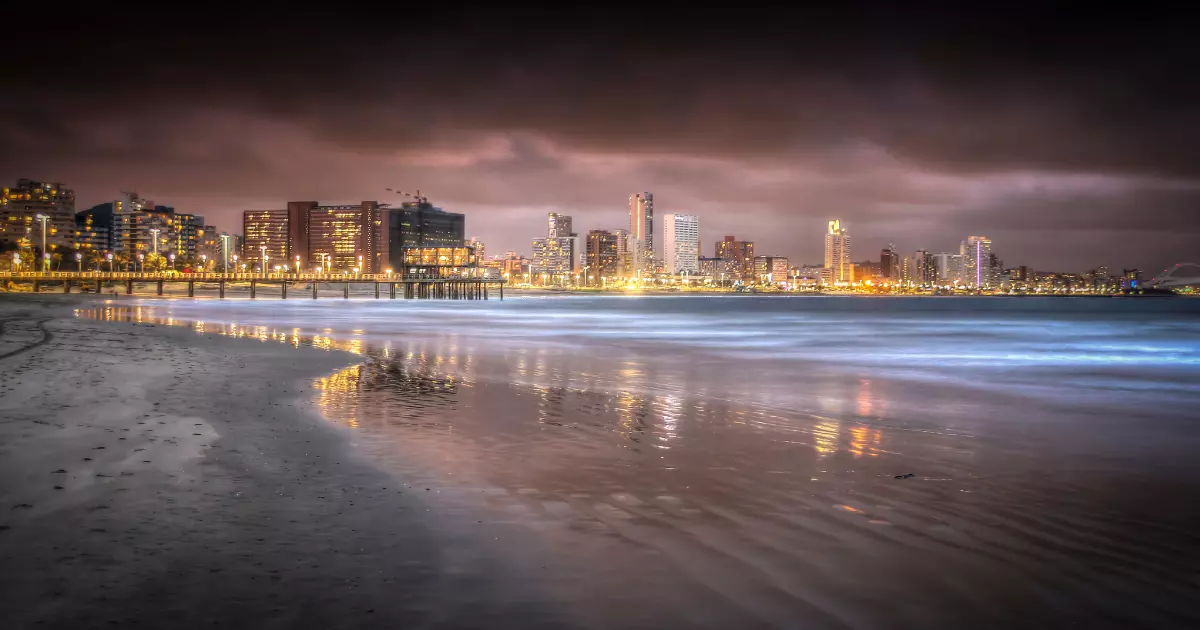 things to do in durban at night