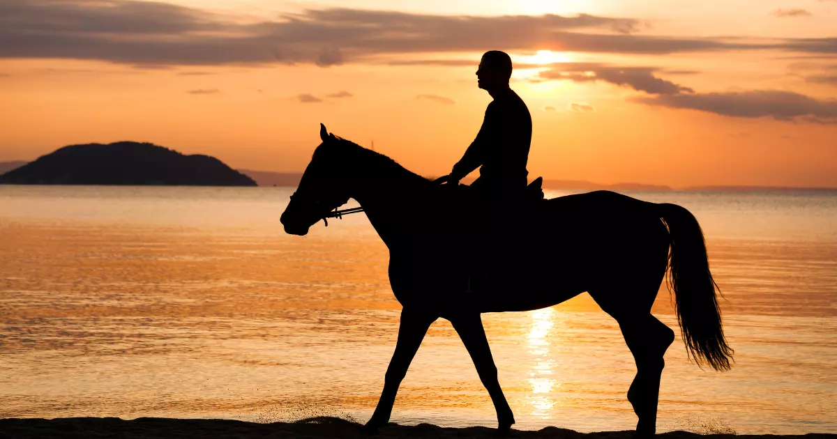 horse riding on the beach durban - main