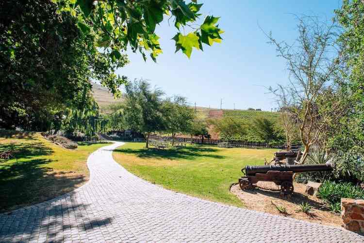 signal gun wines - things to do in durbanville