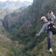 Cape canopy tour