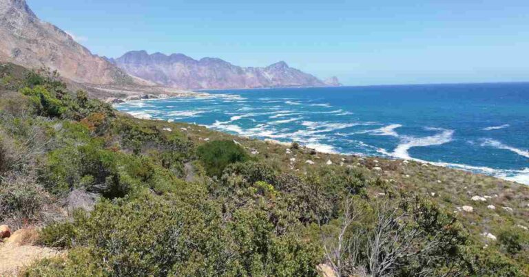 The 10 Ultimate Things to Do in Gansbaai