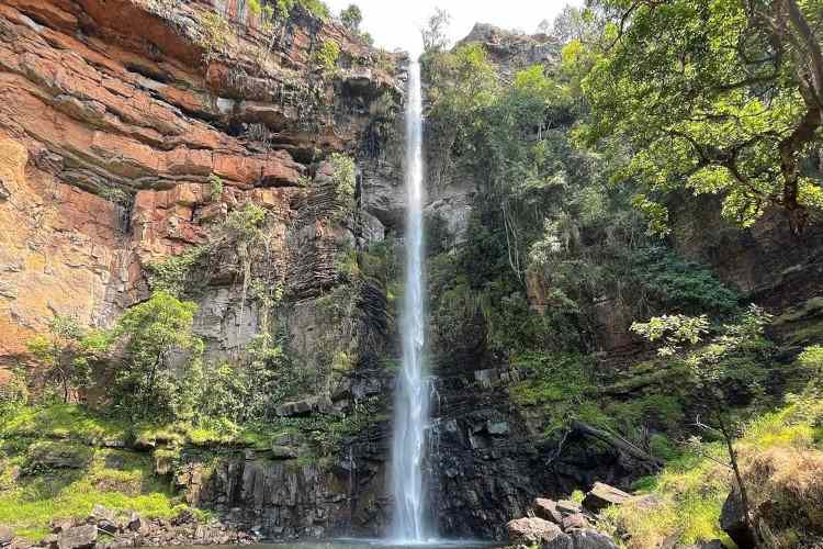 Lone Creek Falls - Things to do in White River